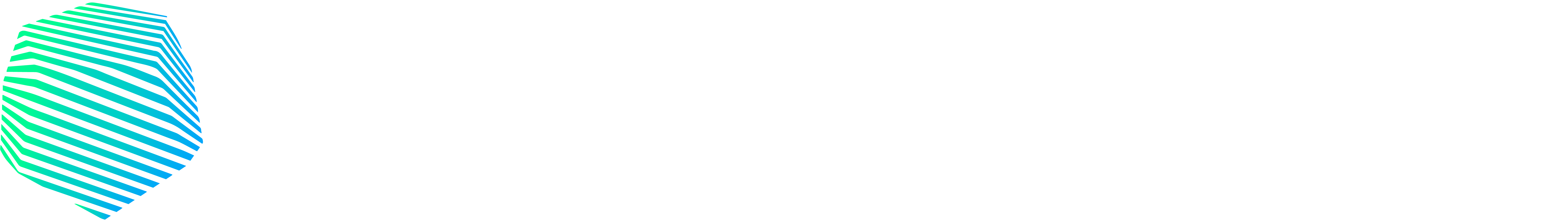 Chromaflow Logo